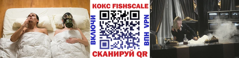 купить закладку  Нелидово  МЕГА ссылка  Cocaine FishScale 