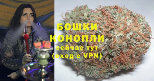 дурь Лагань