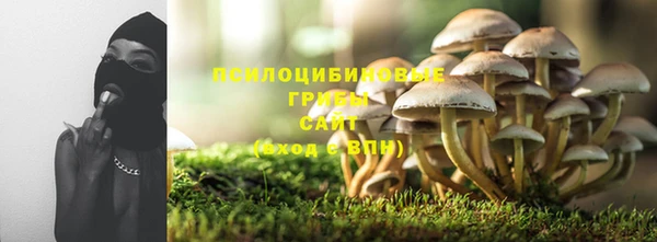 дурь Лагань
