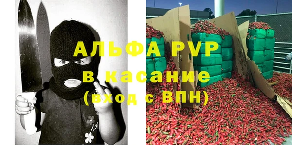 ECSTASY Ладушкин
