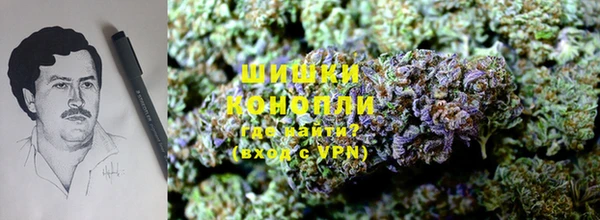 ПСИЛОЦИБИНОВЫЕ ГРИБЫ Армянск