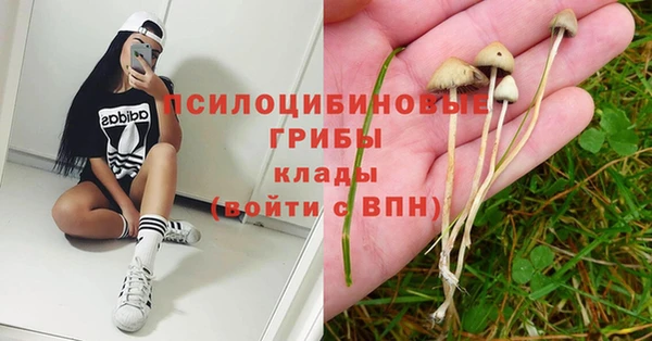 ECSTASY Ладушкин