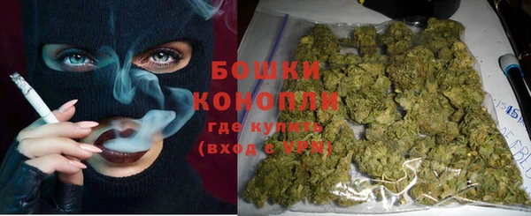 ECSTASY Ладушкин