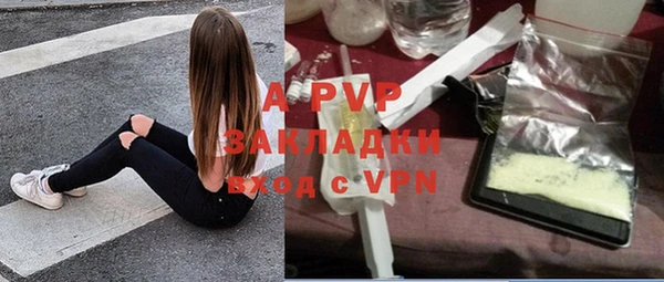 ГАЛЛЮЦИНОГЕННЫЕ ГРИБЫ Арсеньев